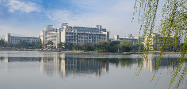 我的大學(xué)-大學(xué)志