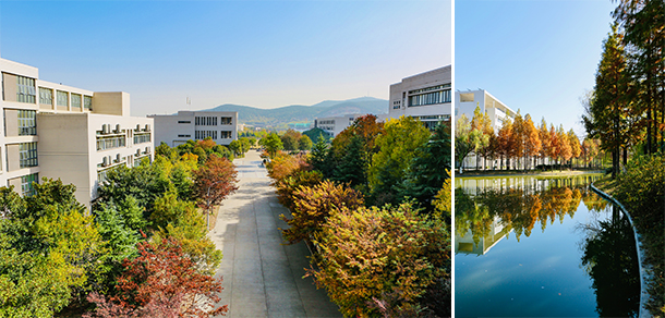 我的大學(xué)-大學(xué)志