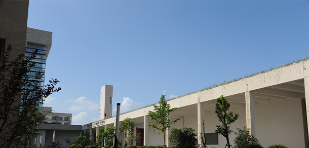 我的大學-大學志