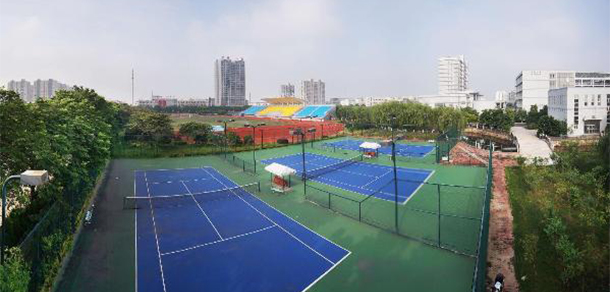 我的大學(xué)-大學(xué)志