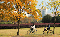 溫州大學 - 我的大學