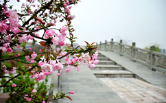 上海財經大學浙江學院 - 我的大學