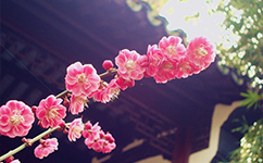 浙江長征職業(yè)技術(shù)學院 - 我的大學