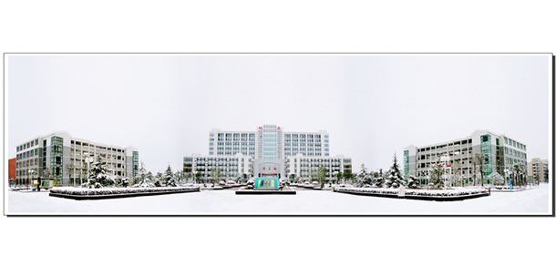 我的大學-大學志