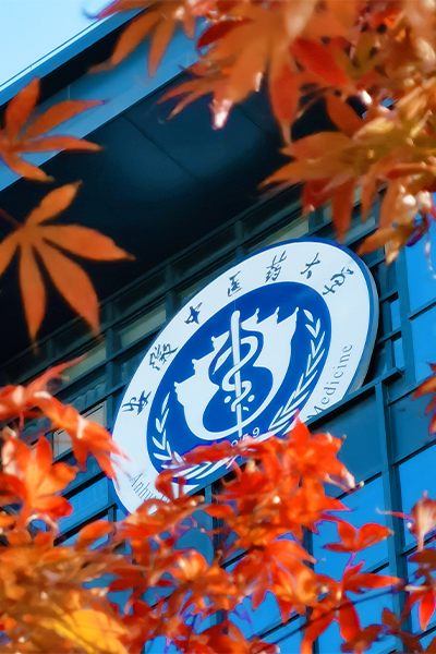 安徽中醫(yī)藥大學