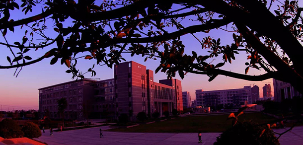 合肥經(jīng)濟學院 - 最美大學