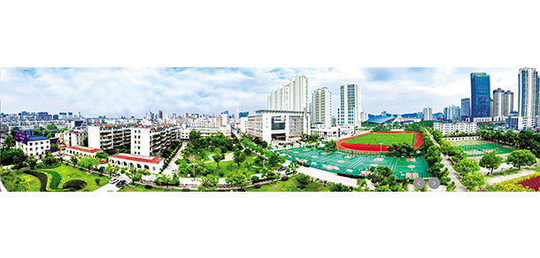 我的大學(xué)-大學(xué)志
