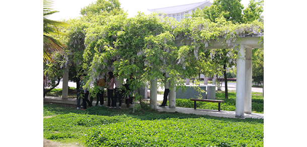我的大學-大學志