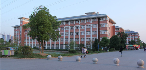 我的大學(xué)-大學(xué)志