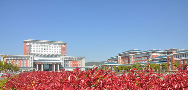 我的大學(xué)-大學(xué)志