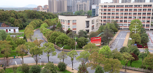 我的大學-大學志