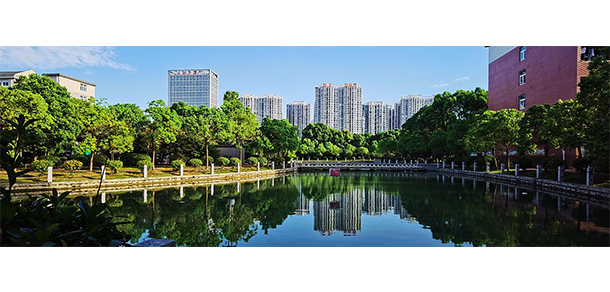 我的大學(xué)-大學(xué)志