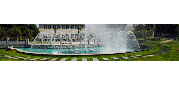 我的大學(xué)-大學(xué)志