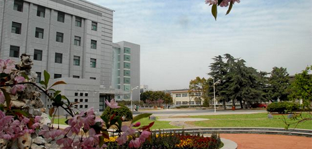 我的大學(xué)-大學(xué)志