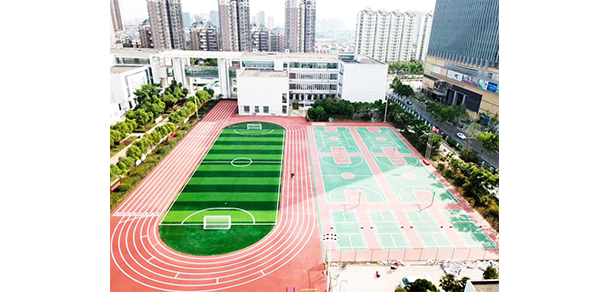我的大學(xué)-大學(xué)志