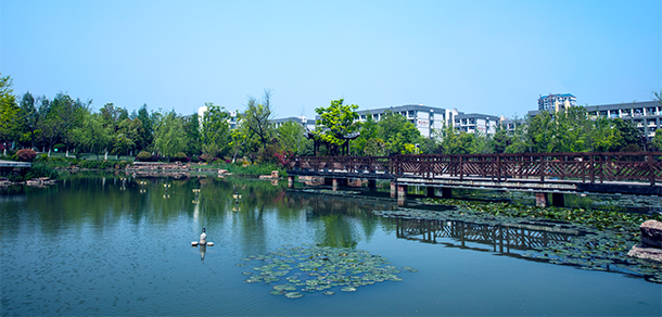 安徽國際商務(wù)職業(yè)學(xué)院