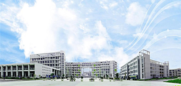 我的大學(xué)-大學(xué)志