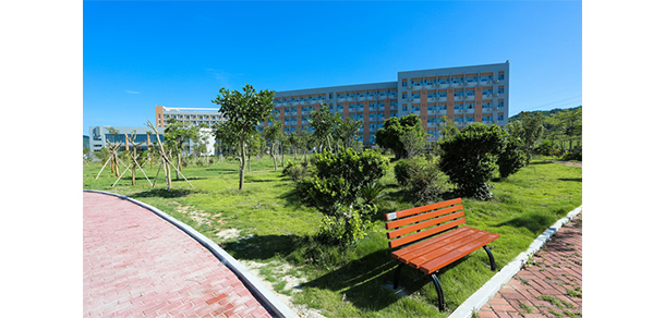 我的大學(xué)-大學(xué)志