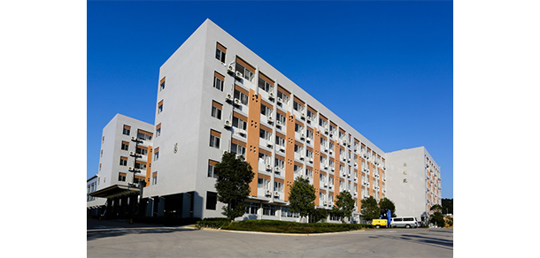 我的大學(xué)-大學(xué)志