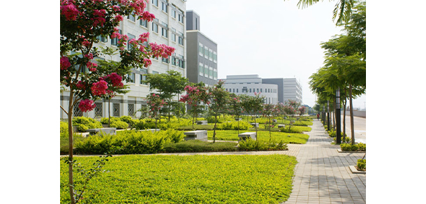 我的大學(xué)-大學(xué)志