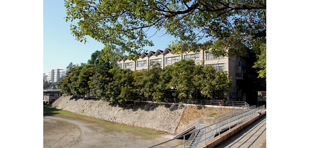 福建幼兒師范高等?？茖W(xué)校 - 最美大學(xué)