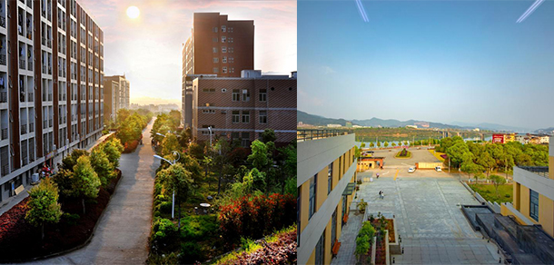 我的大學-大學志