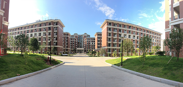 我的大學-大學志
