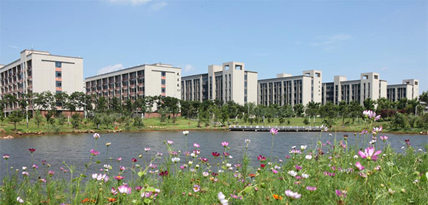我的大學(xué)-大學(xué)志