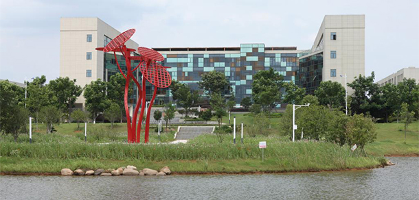 我的大學(xué)-大學(xué)志