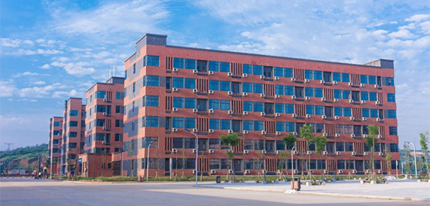 我的大學-大學志