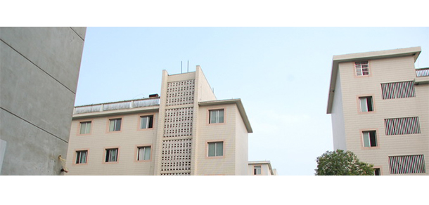 我的大學(xué)-大學(xué)志