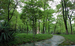歷史沿革(概)校史