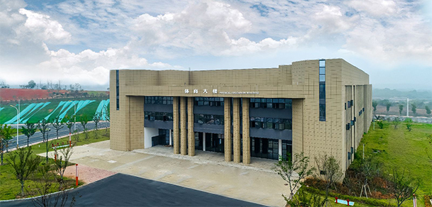 我的大學(xué)-大學(xué)志