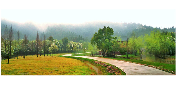 我的大學(xué)-大學(xué)志