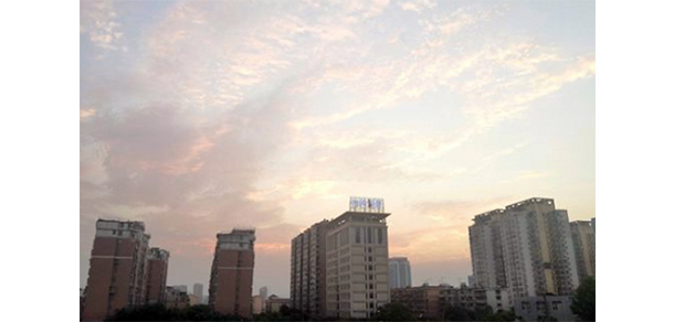 我的大學(xué)-大學(xué)志