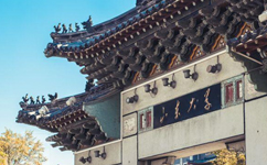 2025年強基計劃招生簡章