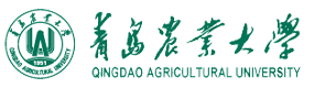 大學(xué)校志