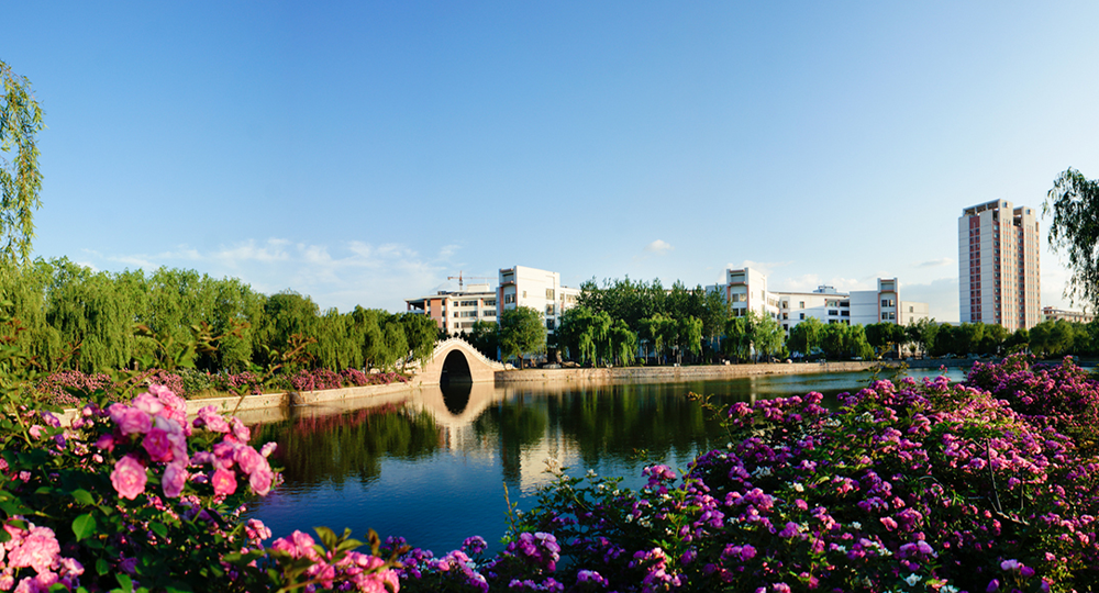 青島農(nóng)業(yè)大學(xué)：校名題寫 / ?；赵O(shè)計(jì)