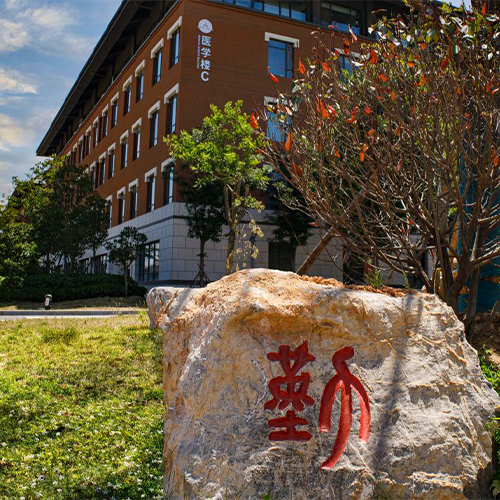 大學簡介