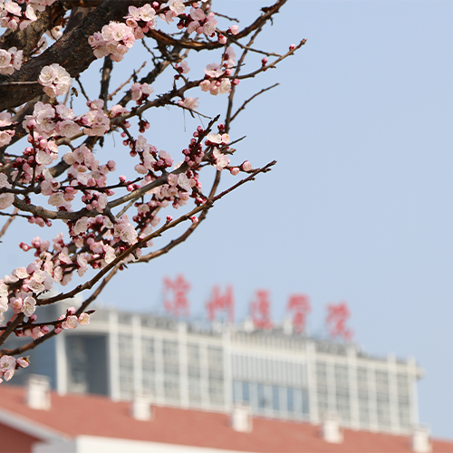 我的大學(xué)