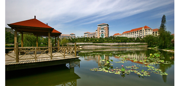 我的大學(xué)-大學(xué)志