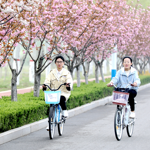 臨沂大學(xué)-大學(xué)文化