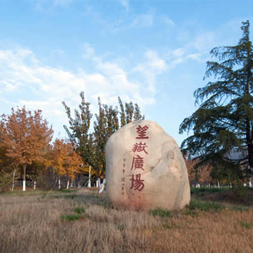 學(xué)費(fèi) / 住宿費(fèi)標(biāo)準(zhǔn)