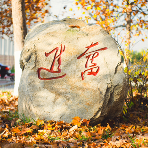 獎(jiǎng)助政策