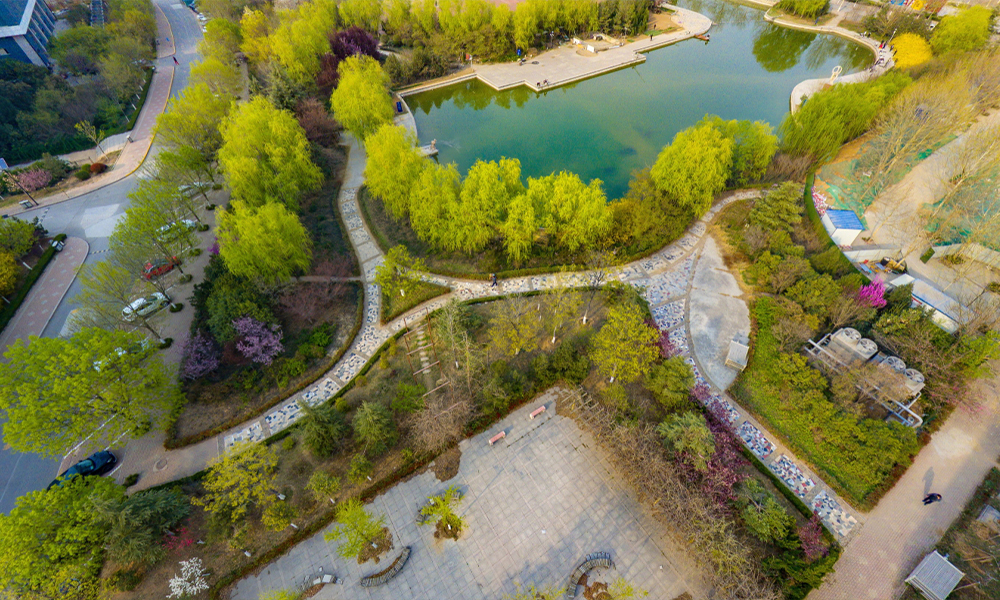 山東體育學(xué)院 風(fēng)起四海 · 各自珍重