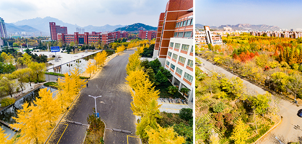 山東科技大學 - 最美大學