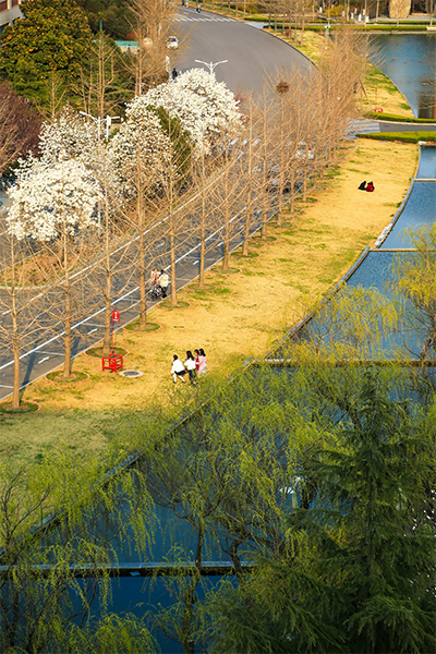 山東科技大學