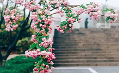 歷史沿革(概)校史