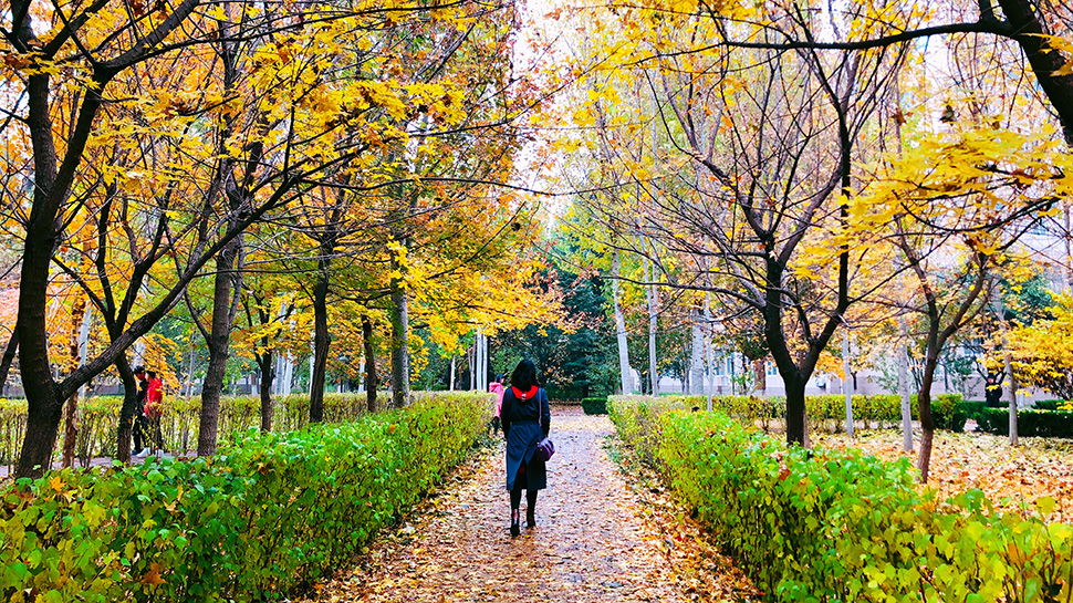 濰坊學院 我的大學