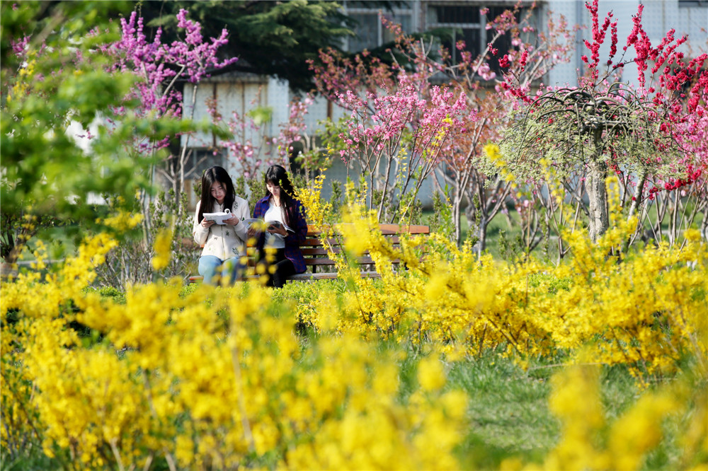 山東工商學院 早安青春